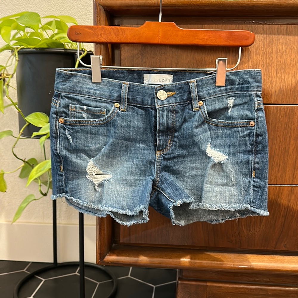 Ann Taylor Loft Denim Shorts